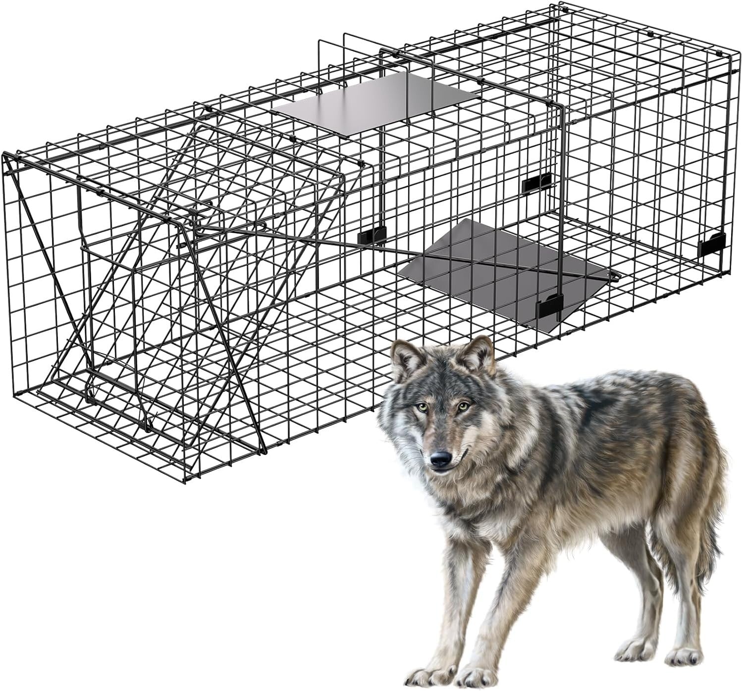 Stainless Steel Large Animal Trap - 51x19x17in for Dogs, Coyotes, Raccoons
