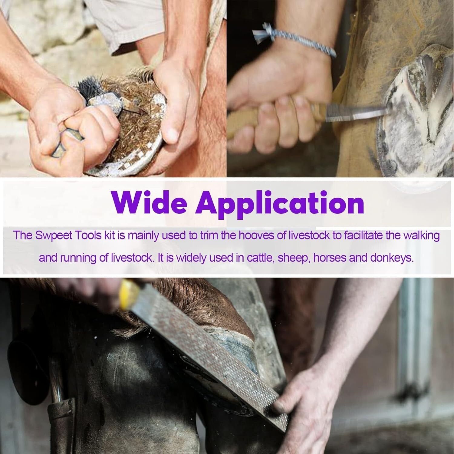 Durable Horse Hoof Trimming & Rasp Set - 8 Professional Tools for Effective Care