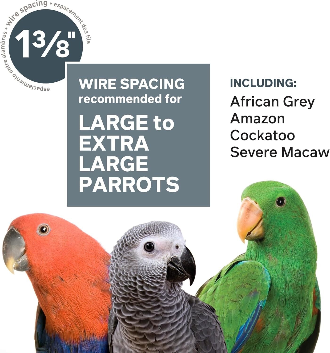 Luxurious 46" X 36" Empire Macaw Cage: Stainless Steel Design for Active Birds