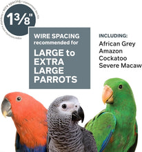 Load image into Gallery viewer, Luxurious 46" X 36" Empire Macaw Cage: Stainless Steel Design for Active Birds
