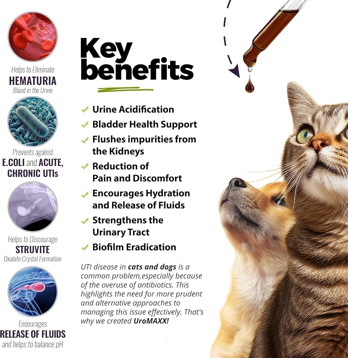 Powerful Bladder & Kidney Support for Dogs and Cats - 2 Bottles, 6 oz Each