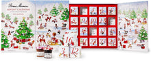 Load image into Gallery viewer, Beautifully Illustrated 2025 Advent Calendar - 24 Seasonal Flavor Surprises
