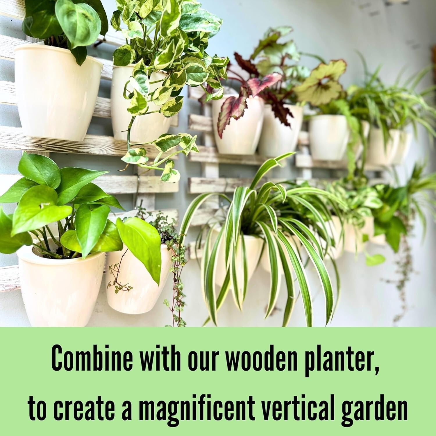 10-Pack Self-Watering Vertical Wall Planters for Stylish Indoor Herbs, 5"