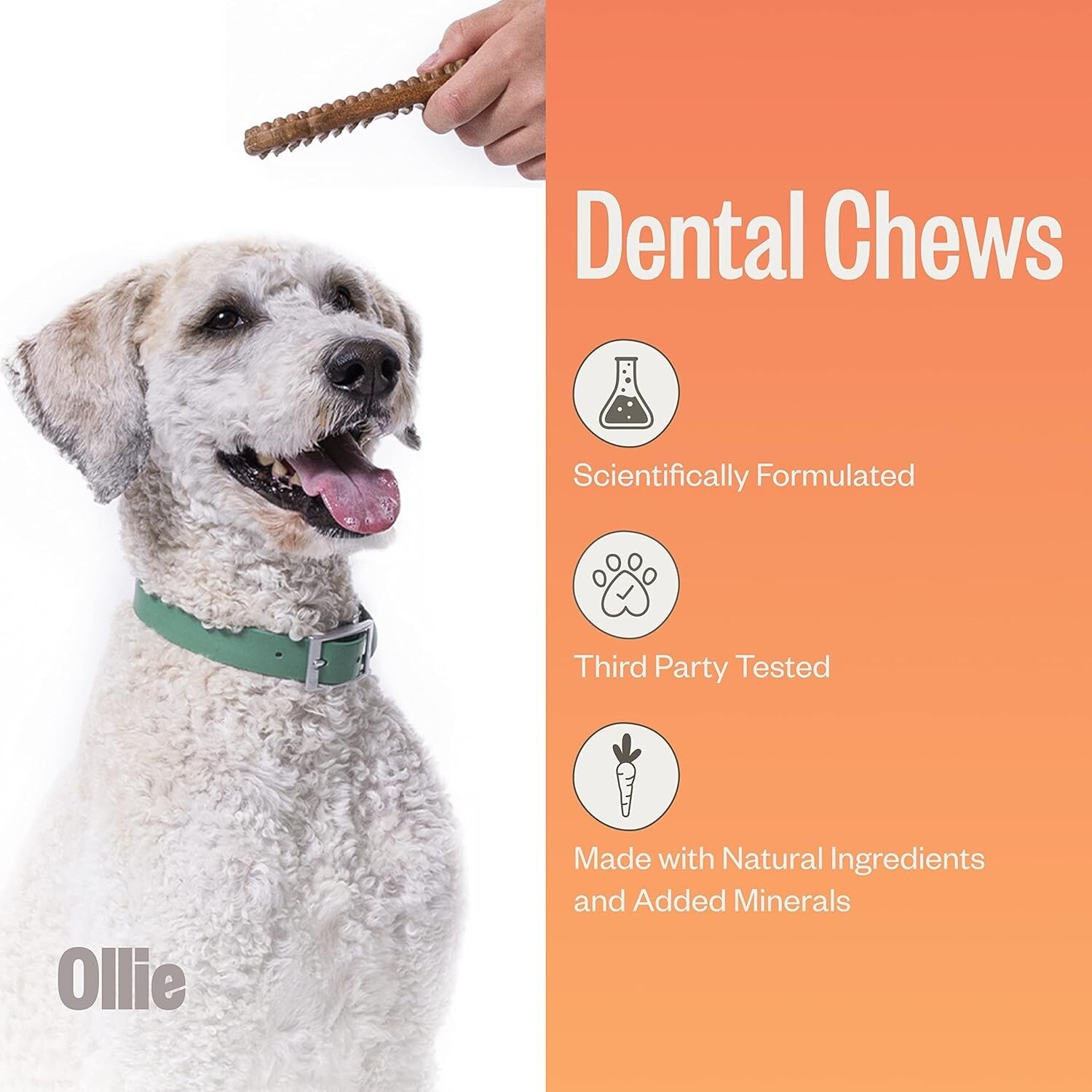 Cinnamon Dental Sticks for Large Dogs - Promote Teeth Cleaning and Fresh Breath