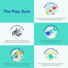 Load image into Gallery viewer, Award-Winning Montessori Activity Gym with Organic Cotton Teething Toys - 0+