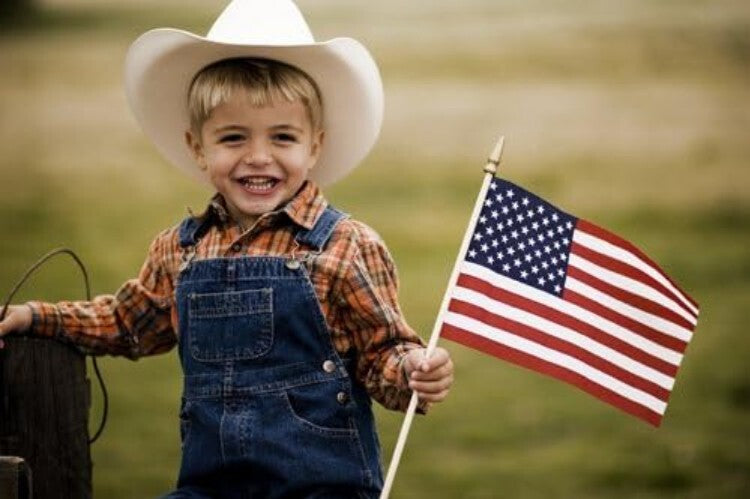 Patriotic 24-Pack of Lightweight American Flags on Birch Handles - Garden Ready