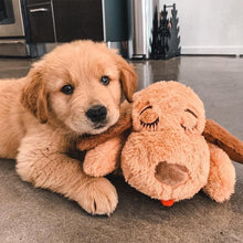 Load image into Gallery viewer, Original Snuggle Puppy Essentials for Medium Breeds - Comfort &amp; Teething Relief