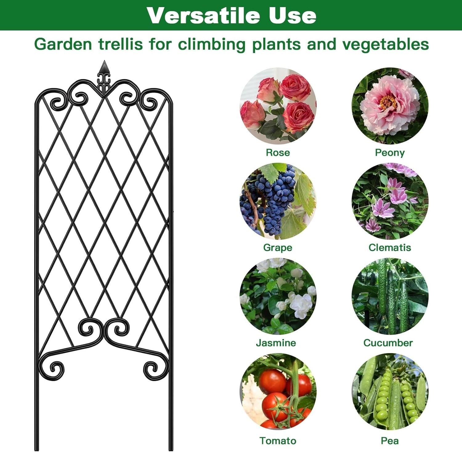 2-Pack Black Wrought Iron Trellis for Climbing Plants - 47" x 16" Decorative ...