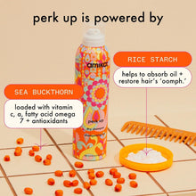 Load image into Gallery viewer, Travel-Friendly Aerosol Dry Shampoo for All Hair Types with Amber Vanilla Scent
