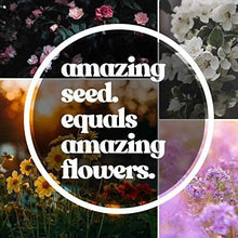 Load image into Gallery viewer, Stunning 1 lb Wildflower Seed Blend - Attract Bees &amp; Butterflies - Easy to Grow