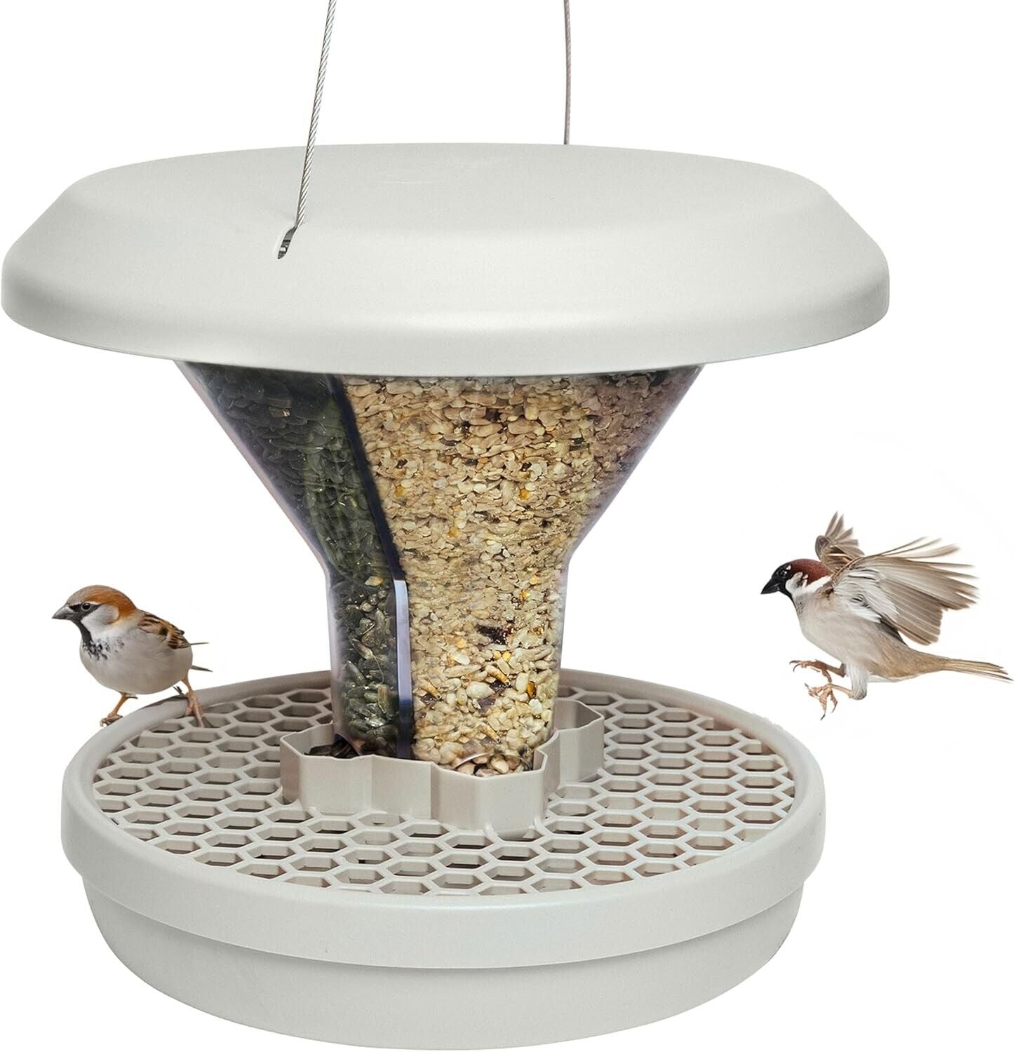 Smart Rat-Proof Bird Feeder with Dual Chambers - No Mess for Outdoor Use