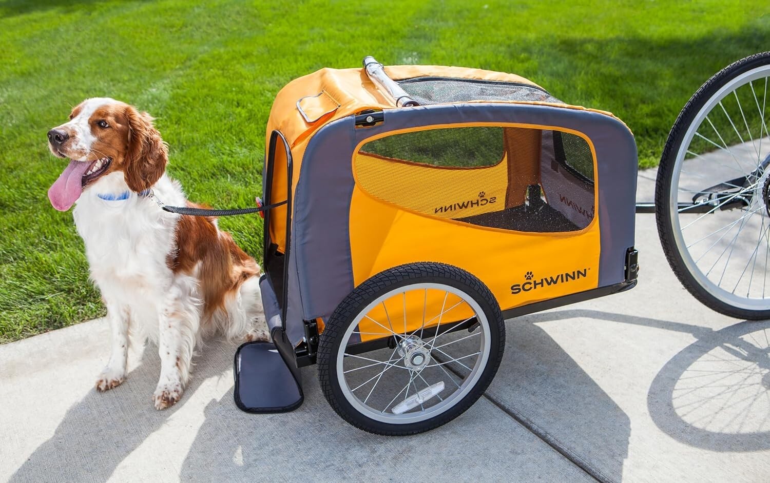 Rascal Dog Bike Trailer & Carrier for Pets Up to 50lbs - Foldable & Versatile