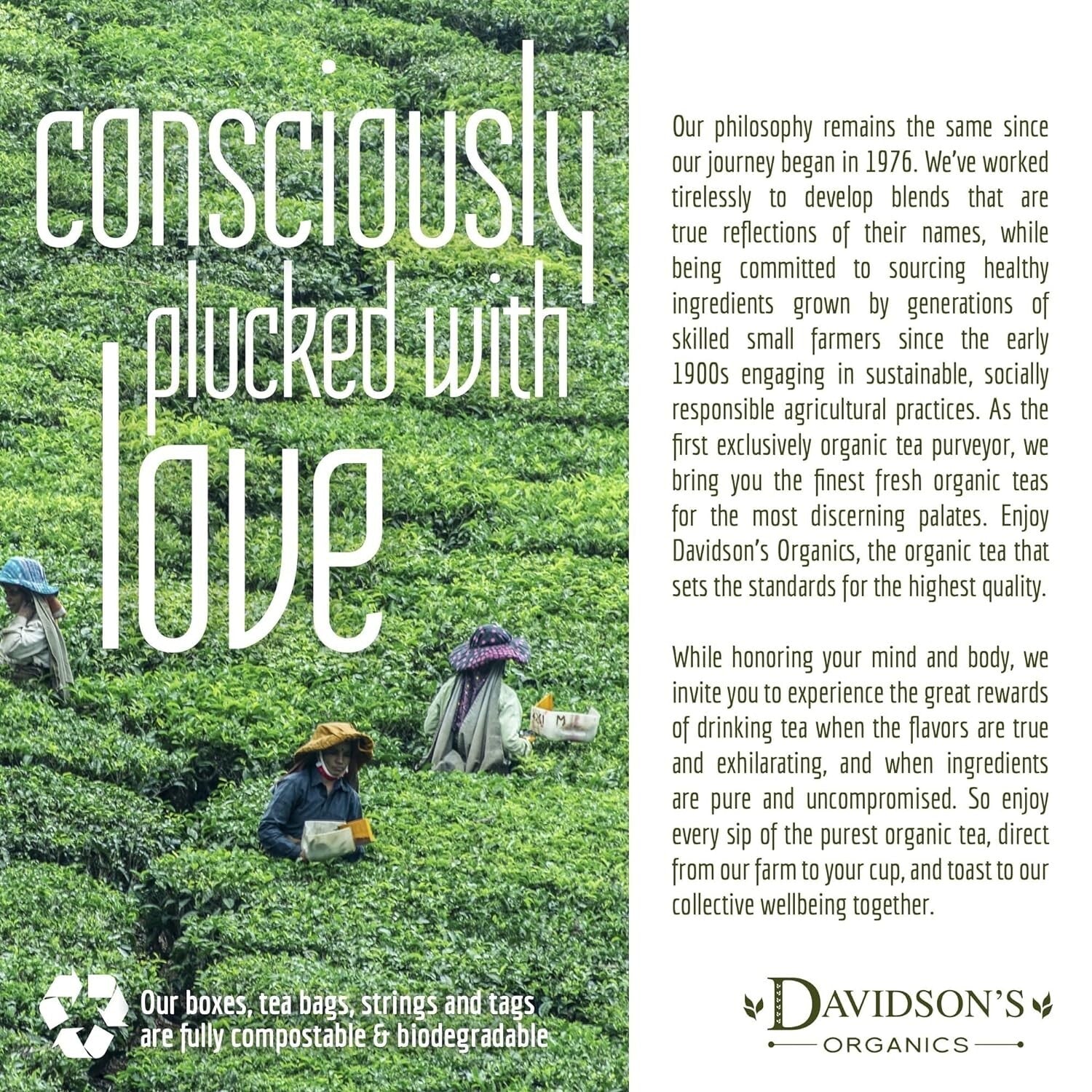 16 Oz USDA Certified Organic Dragonwell Green Loose Leaf Tea - Sweet & Nutty