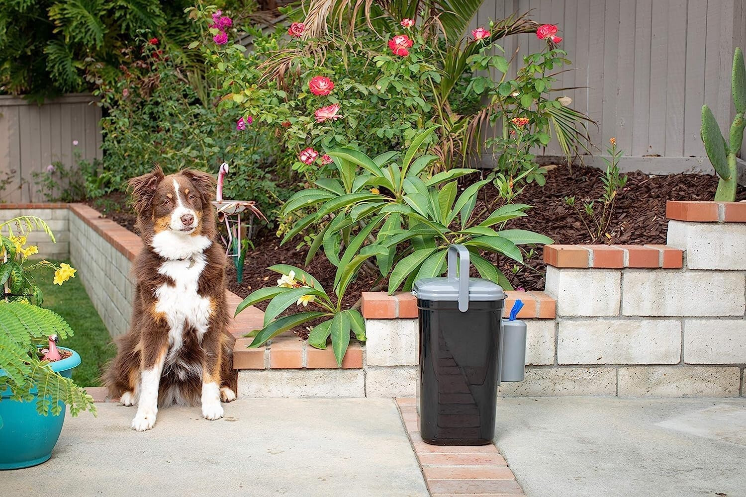 Transparent Outdoor Dog Waste Bin - Easy Clean-up with Built-in Deodorizer
