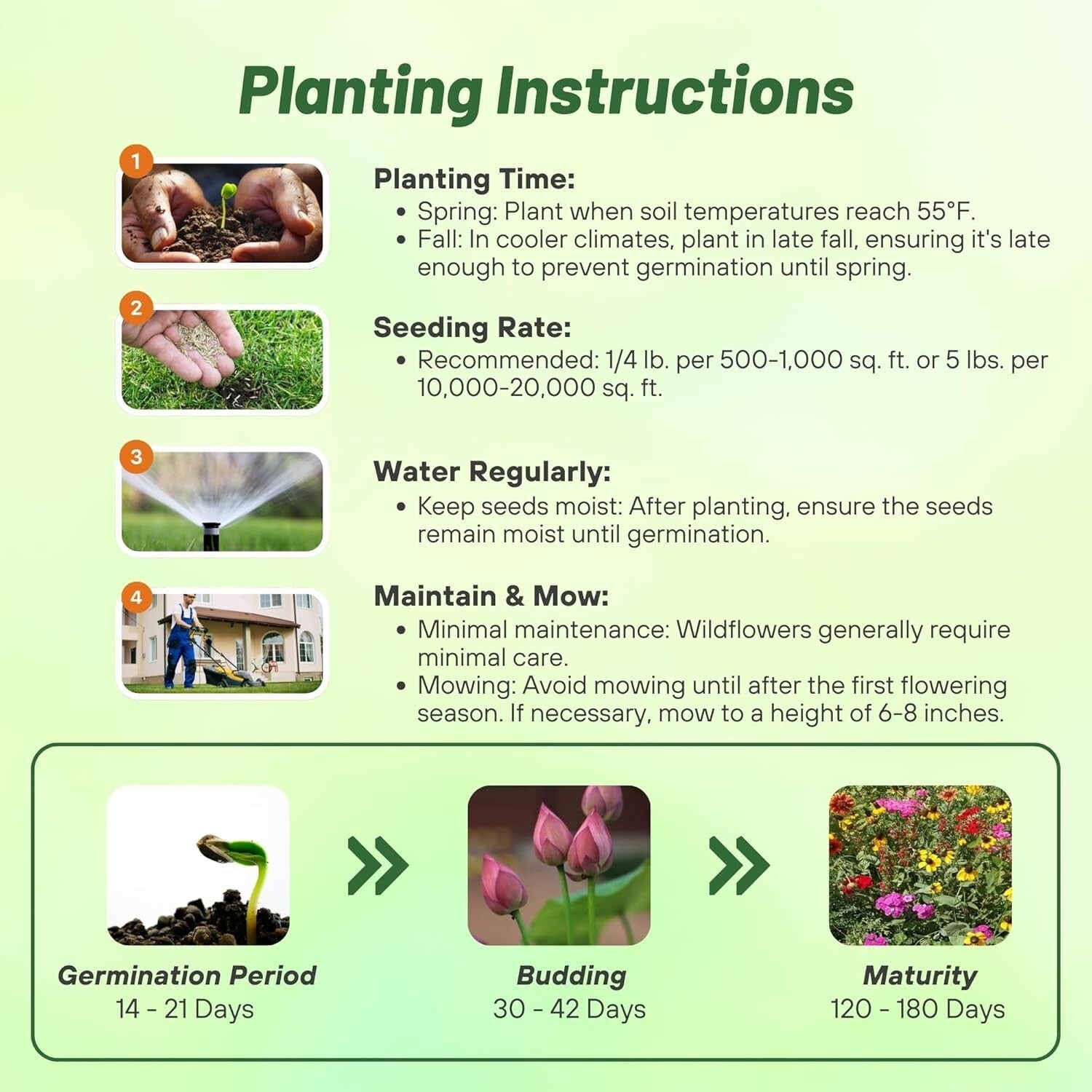 5 lbs Heirloom Wildflower Seed Mix for Erosion-Control & Vibrant Landscapes