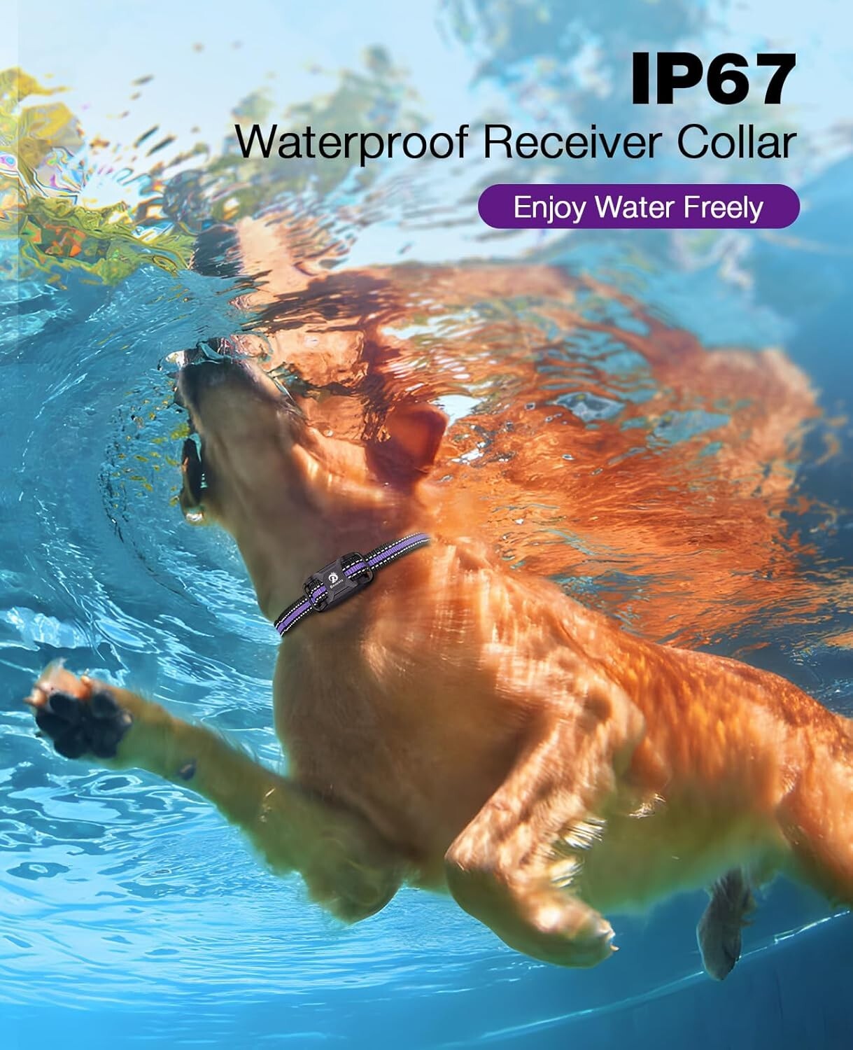 3300Ft Dog Shock Collar - Rechargeable Waterproof Training Collar for All Breeds