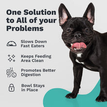Load image into Gallery viewer, Upgrade Your Pet's Mealtime with Slanted Stainless Steel Dog Bowl - Medium Size