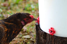 Load image into Gallery viewer, 50-Pc DIY Horizontal Poultry Waterer Kit with Dribble Dishes &amp; Installation Tool