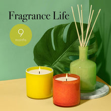 Load image into Gallery viewer, Hand-blown Glass Reed Diffuser - 15oz Rosemary Eucalyptus, 9 Months of Serenity