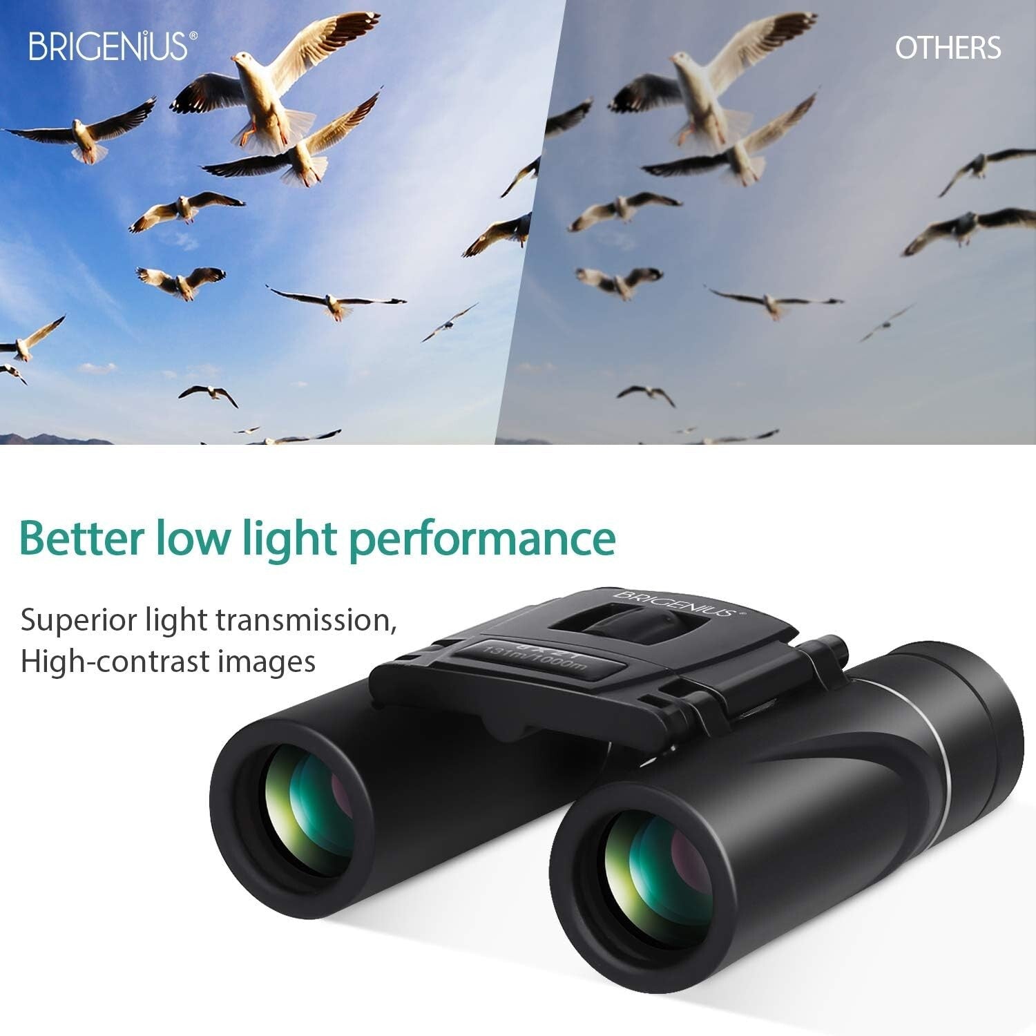 Durable 8x21 Compact Binoculars for Family Adventures - Lightweight & Foldable
