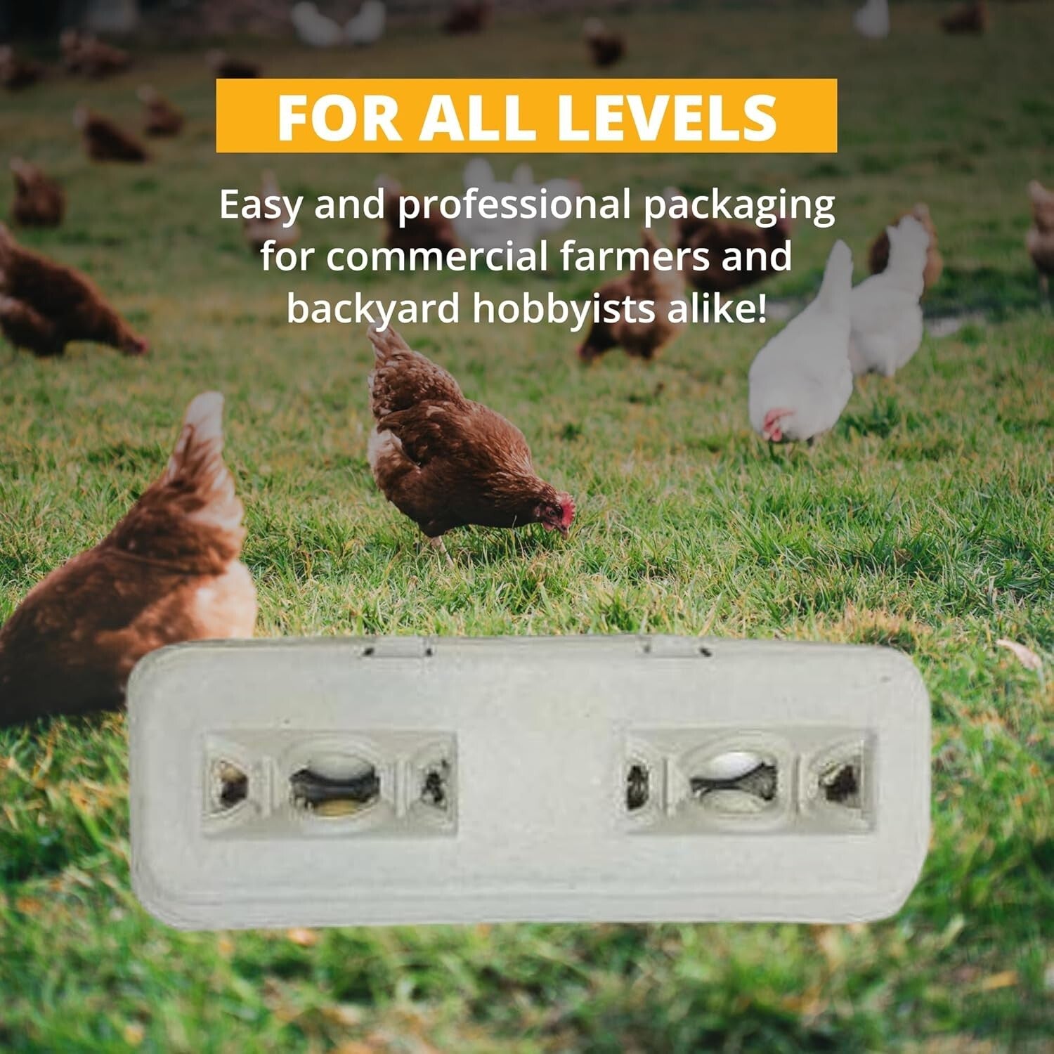 Large Capacity Egg Cartons - 250 Pack with Flip Top Closure, Ideal for Branding