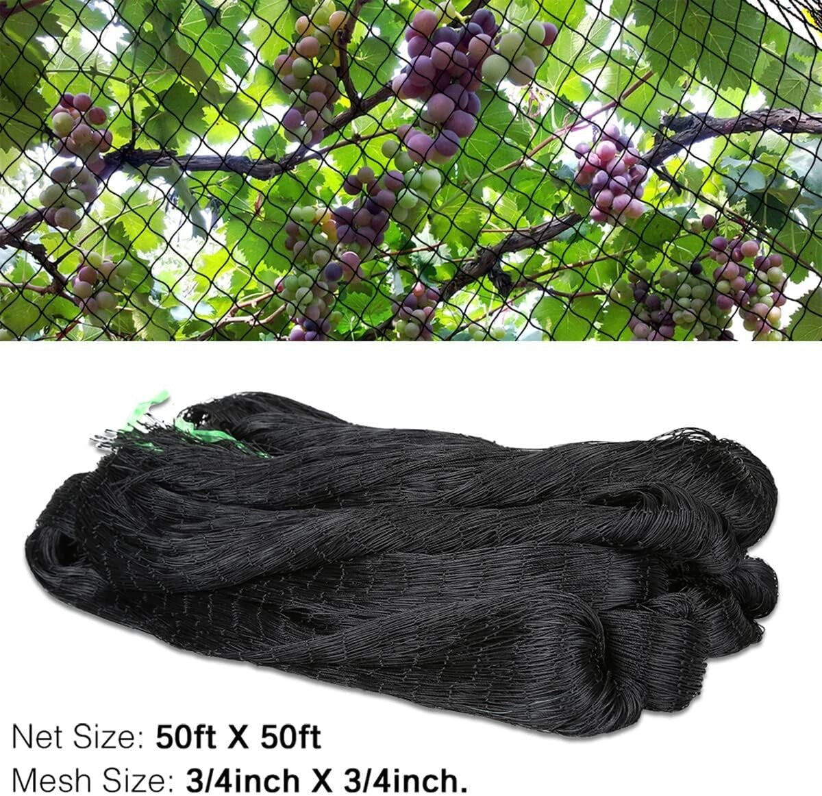 50' x 50' Black Garden Netting with 3/4" Mesh – Protect Plants Effortlessly