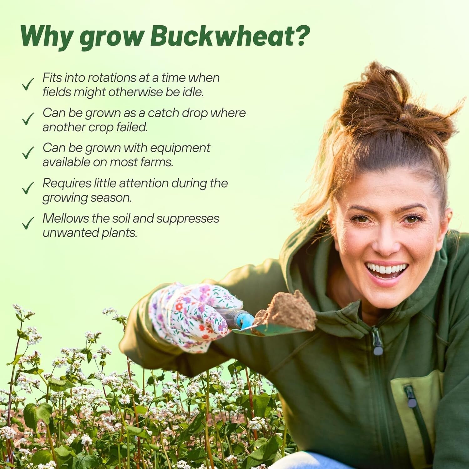 Buckwheat Seeds - 10lbs for Sustainable Cover Crop & Biodiversity Enhancement