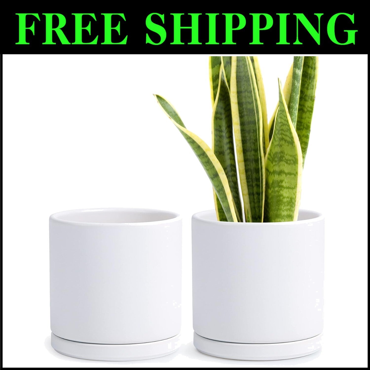 Set of 2 Elegant 8" Ceramic Planters with Drainage Holes and Matching Saucers