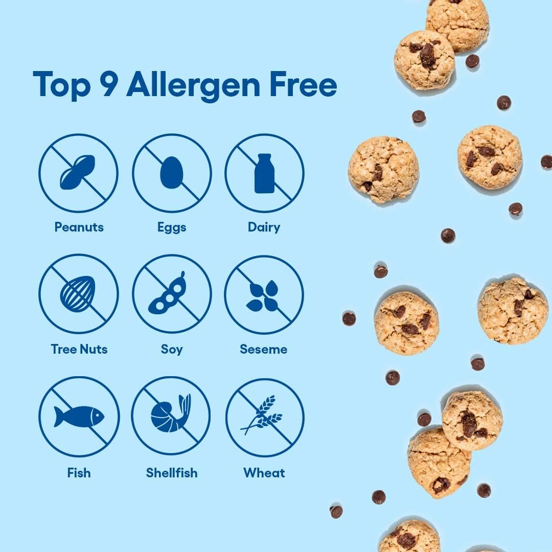 48 Convenient Gluten Free Mini Chocolate Chip Cookie Packs for Snack Lovers