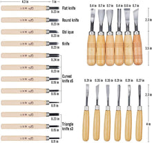 Load image into Gallery viewer, Complete 24 PCS Wood Knife Set in Aluminum Case for Precision Woodworking