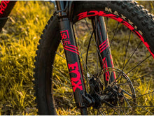 Load image into Gallery viewer, Durable High-Impact Bike Frame Guard - Ultimate Resistance Against Scratches