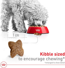Load image into Gallery viewer, 30 lb Size Health Nutrition Small Adult Dog Food - Perfect for Weight Management