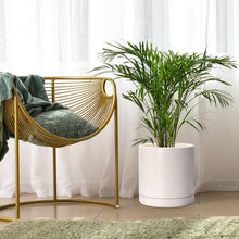 Load image into Gallery viewer, Large Round Ceramic Plant Pot - 10" Oatmeal Planter with Drainage Hole &amp; Saucer