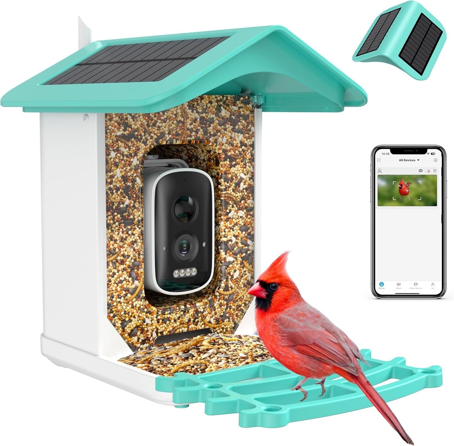 Eco-Friendly Smart Bird Feeder: AI Recognition & Night Vision for 11,000 Species