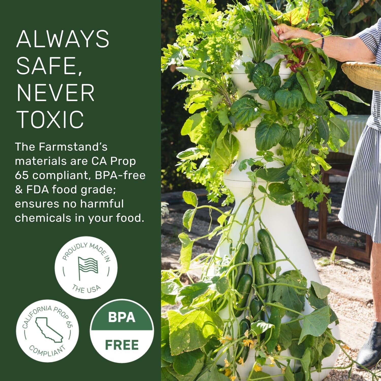 Medium Hydroponic Vertical Planter with 24 Pre-Sprouted Plants - Easy Gardening