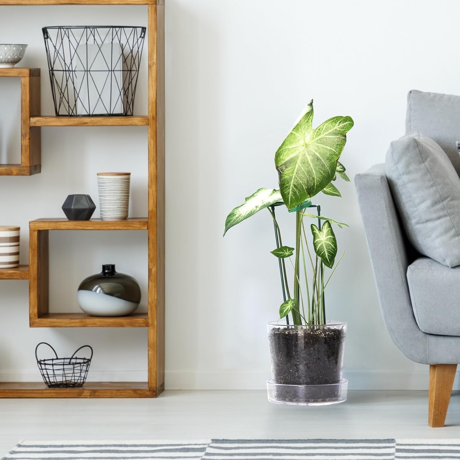 Elegant 8-Inch Clear Planter Pot Set with Deep Saucer – Indoor Herb & Orchid Pot