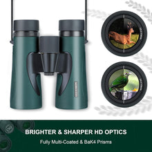 Load image into Gallery viewer, Professional 10X42 Lightweight Binoculars with Phone Adapter for Nature Lovers