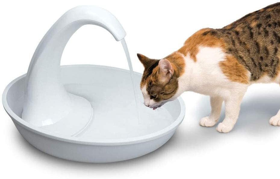 Elegant Swan Pet Fountain - 80oz Capacity for Dogs & Cats - Easy to Clean Design