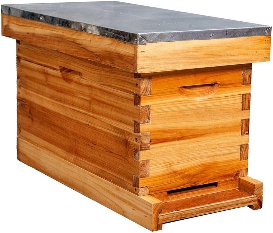 Elegant 5-Frame Beehive with Waterproof Metal Roof – Perfect for New Beekeepers