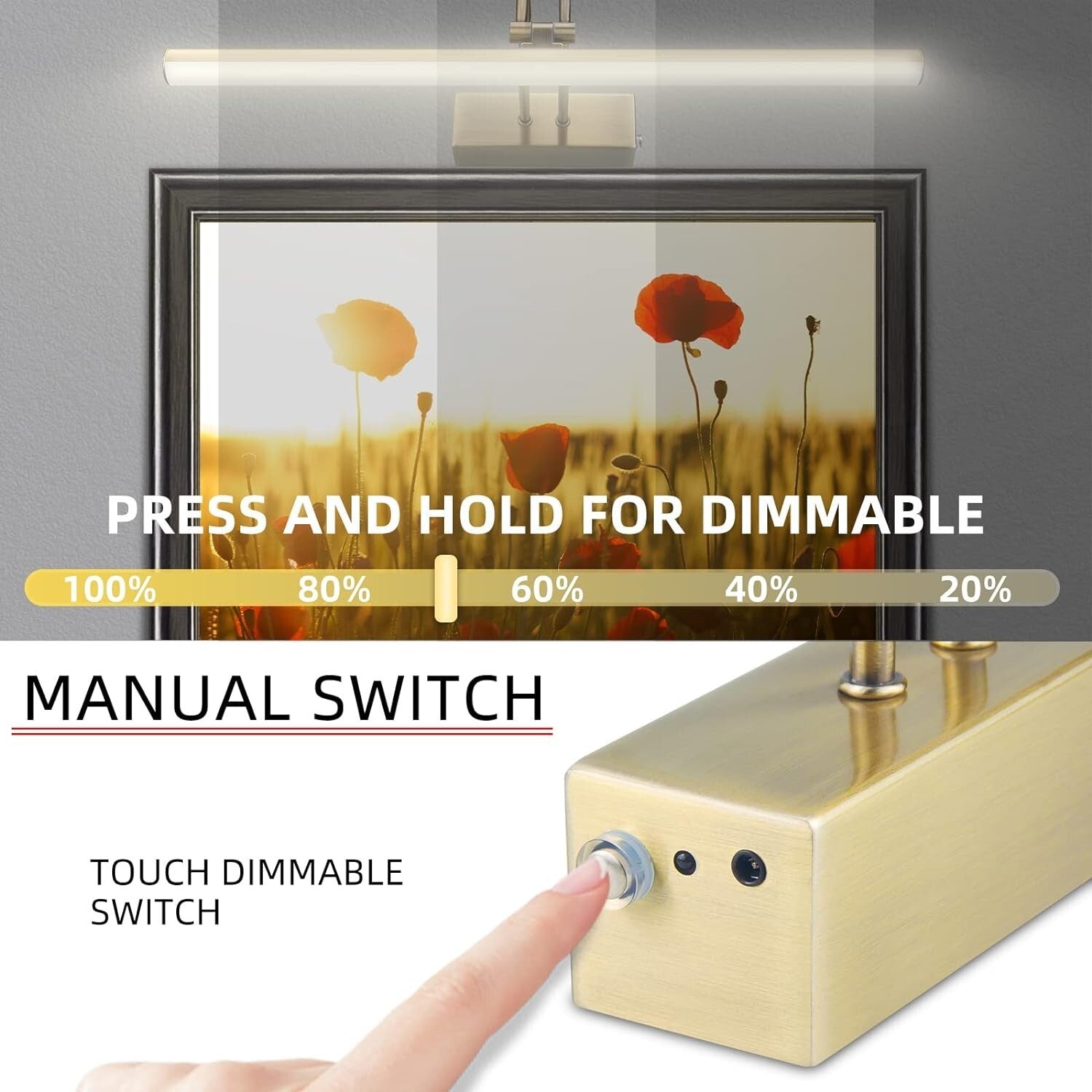 20-Inch Remote-Controlled Wireless Art Light with Timer - Elegant Brass Fixture