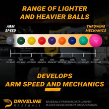 Load image into Gallery viewer, Weighted Pitching Balls with Carrying Case: 16-Week Performance Program Included