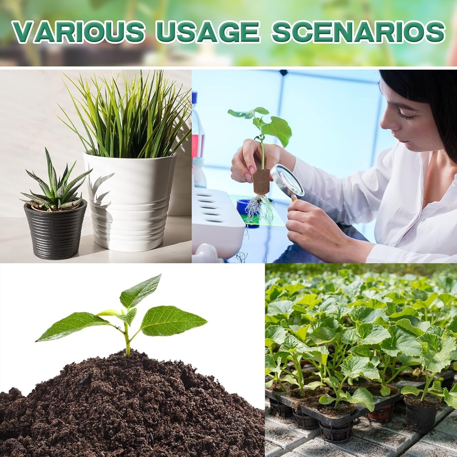 Rectangular Hydroponic Seed Starter Pods - 200 Peat Sponges for Optimal Growth