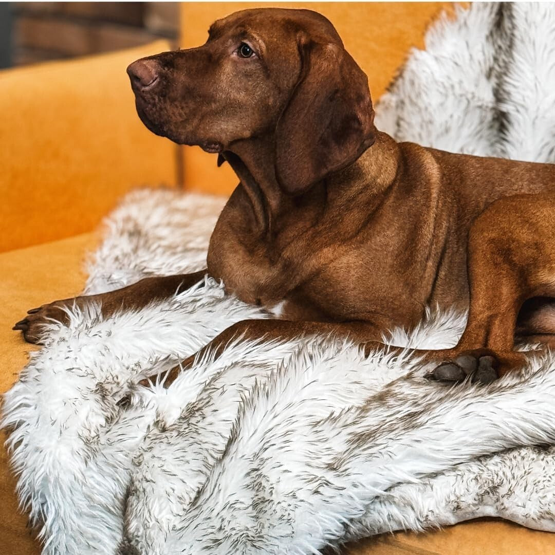Versatile 80” x 60” Waterproof Pet Blanket - Machine Washable Faux Fur Cover