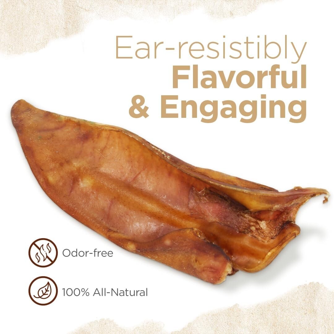 Long-Lasting Natural Pig Ears for Dogs - 50-Pack for Chewing & Dental Care