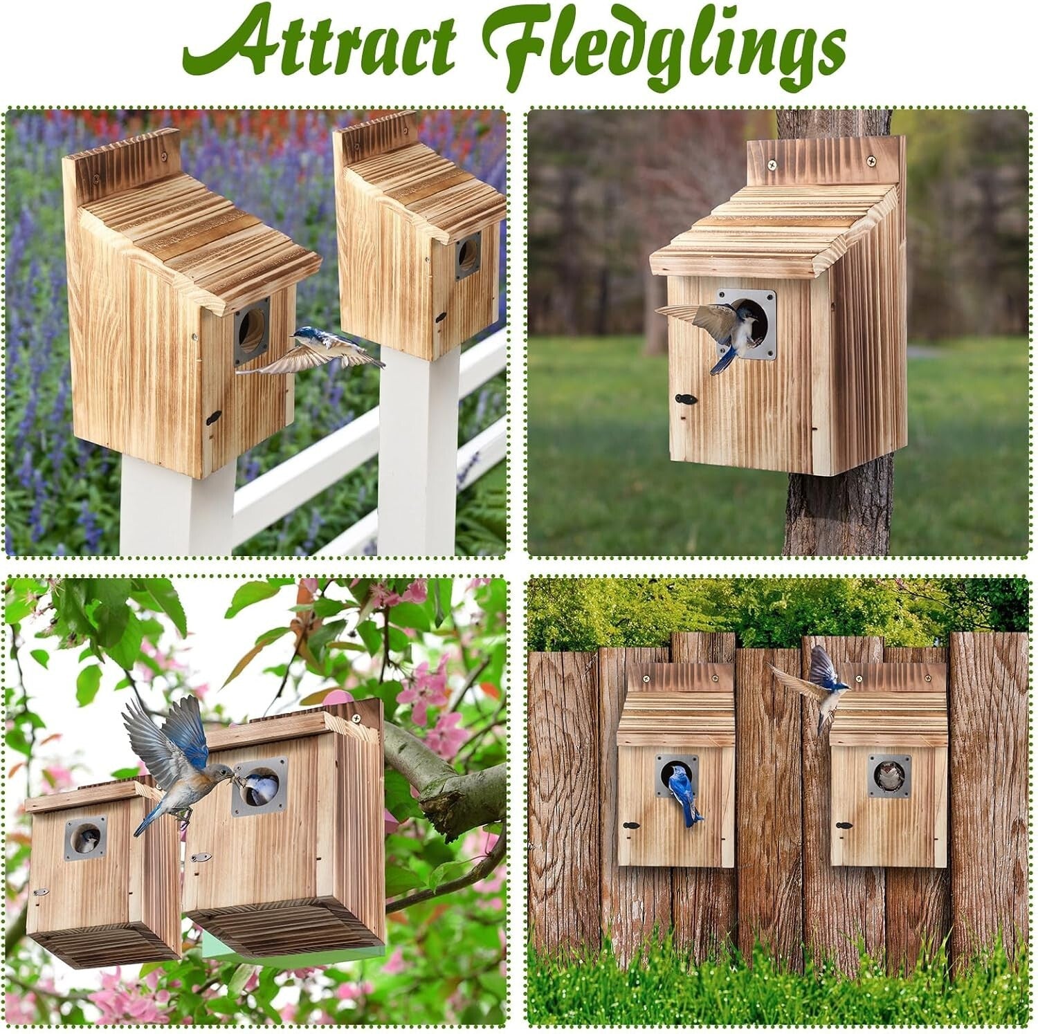 Attractive 3-Pack Wooden Bluebird Houses with Predator Protection - Great Gift