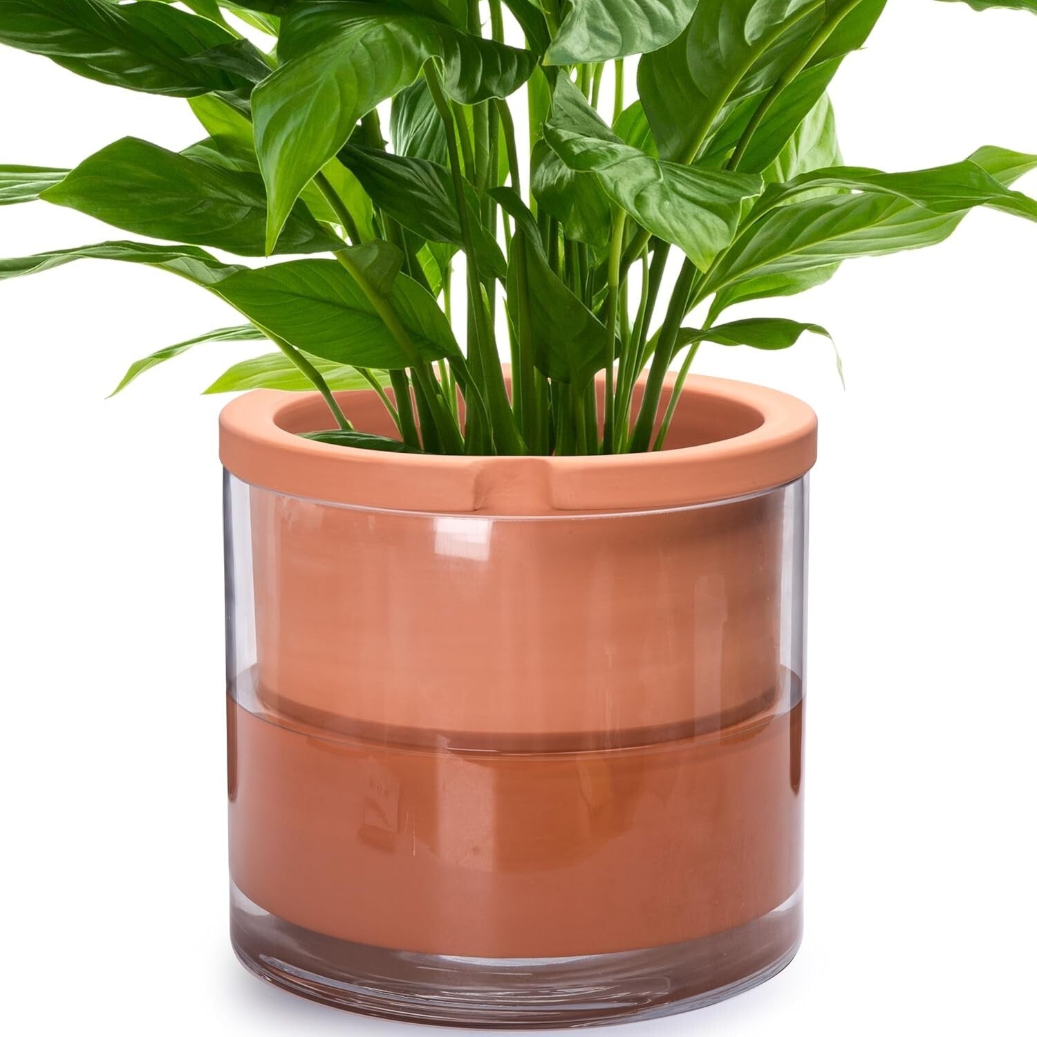 10 Inch Resin White Terracotta Self-Watering Pot - Perfect for Indoor Plants