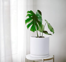 Load image into Gallery viewer, Compact 10" Round Ceramic Planter With Drainage Hole &amp; Protective Pad for Home
