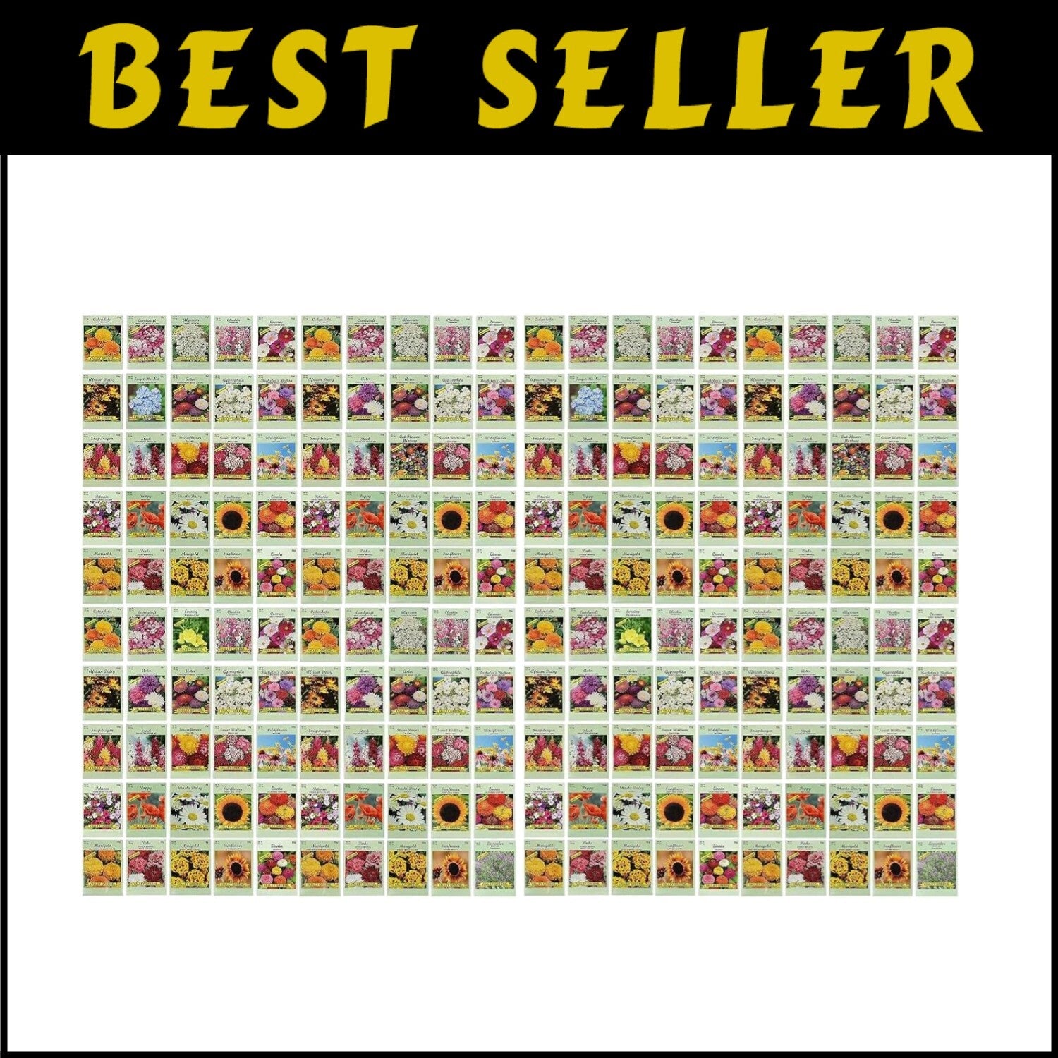 Create a Stunning Garden with 200 Assorted Flower Seed Packets – Easy Growing