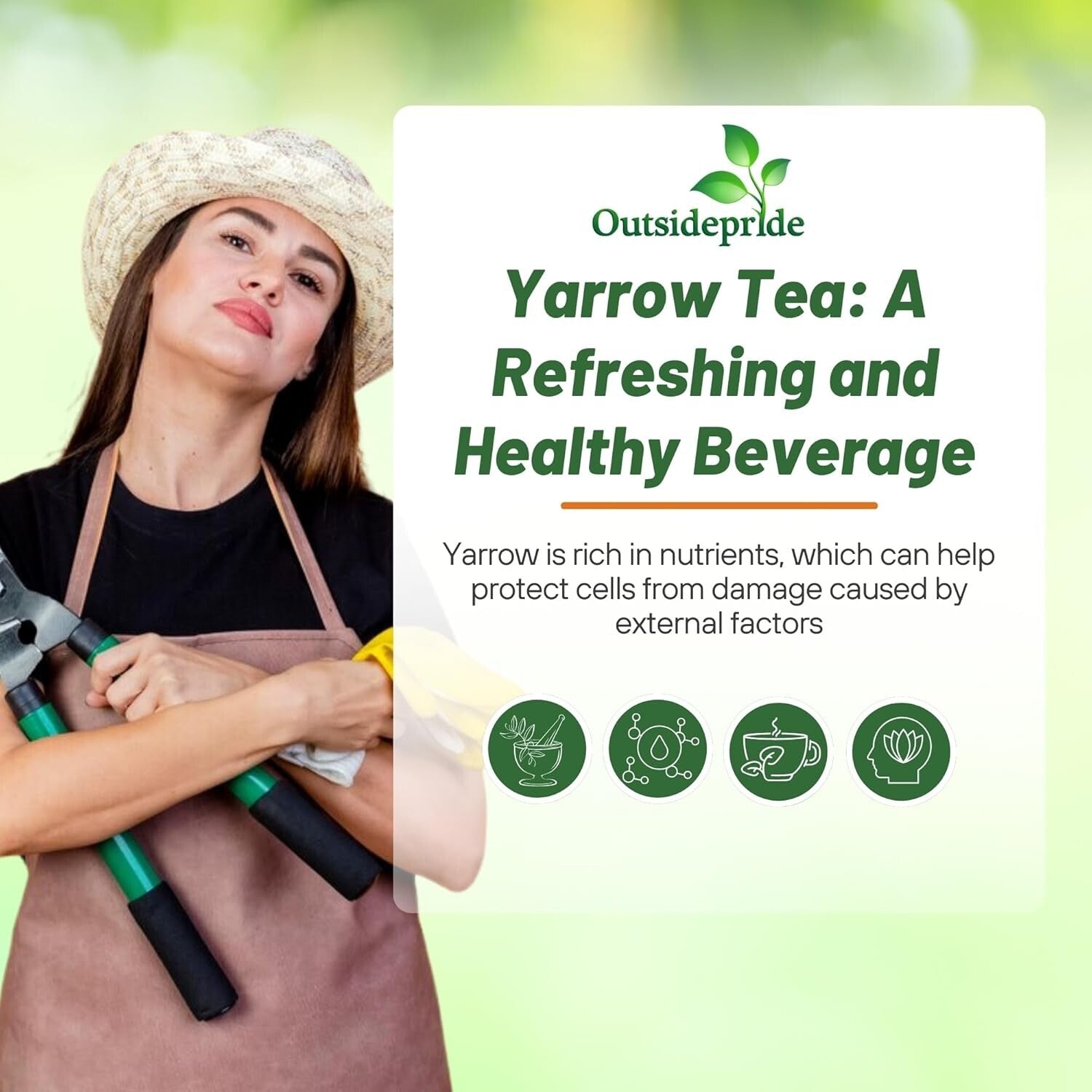 GMO-Free Wildflower Seeds - 1 lb Achillea Millefolium Yarrow for Outdoor Gardens