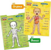 Load image into Gallery viewer, Learn Body Parts and Muscles with Interactive Talking Anatomy Poster for Kids